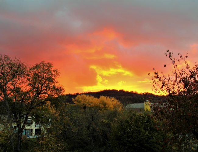 MARCHAND-novembre 21