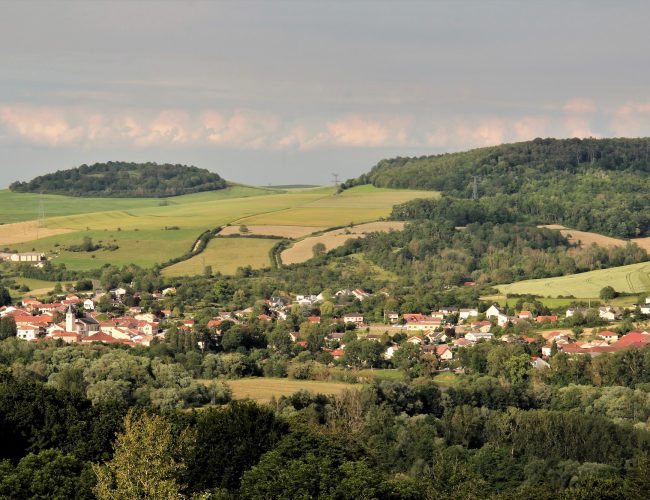 René MARCHAND-juin 2021